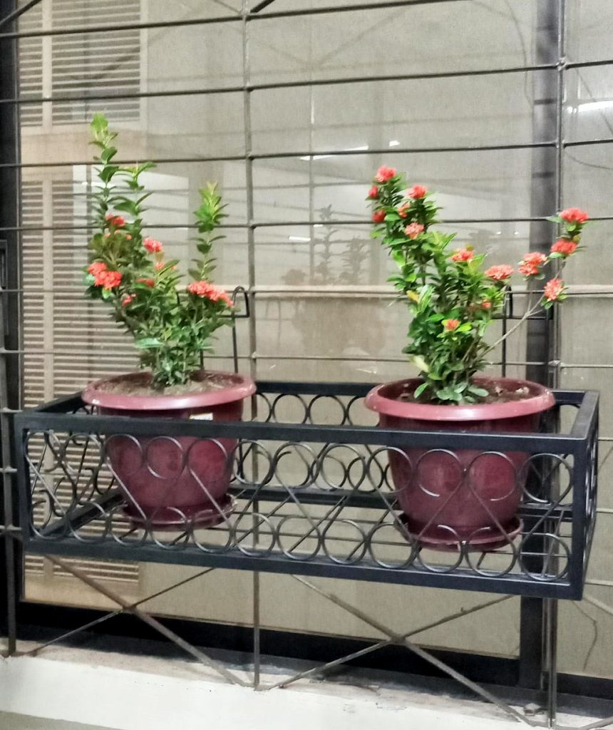 Shameem Engineering - Hanging Flower Pot Rack