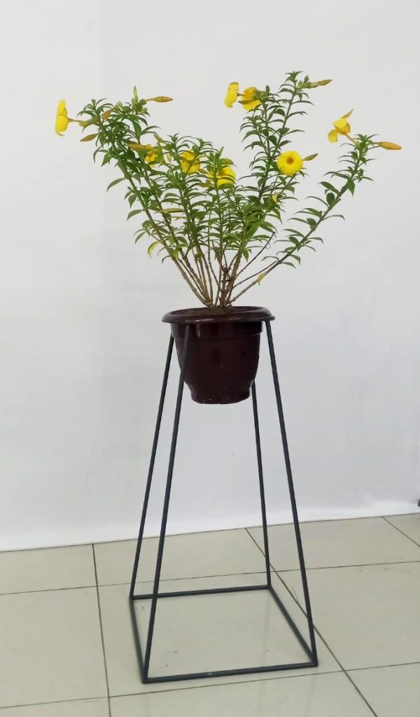 Shameem Engineering - Flower Pot Stand